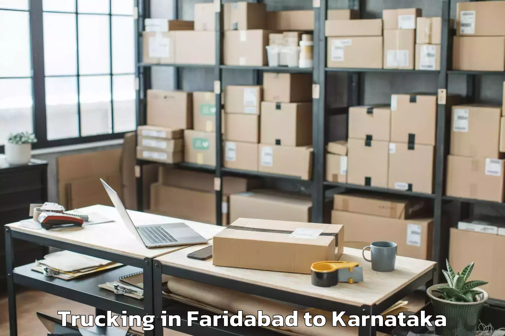 Expert Faridabad to Humnabad Trucking